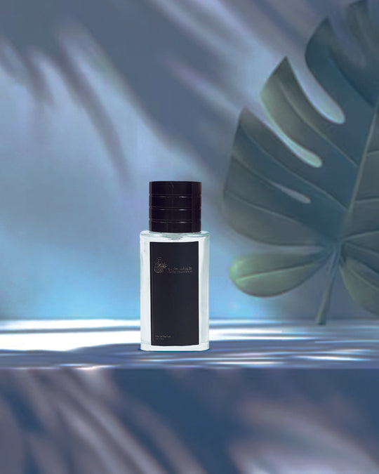 C221  - Our Creation of Davidoff Cool Water for Women