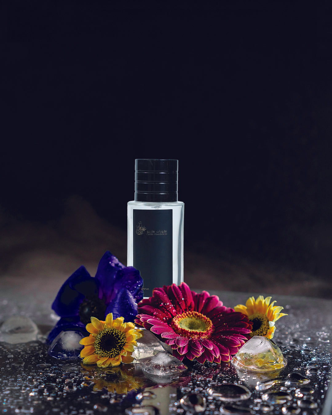 C402 - Our Creation of Saint Laurent  Black Opium